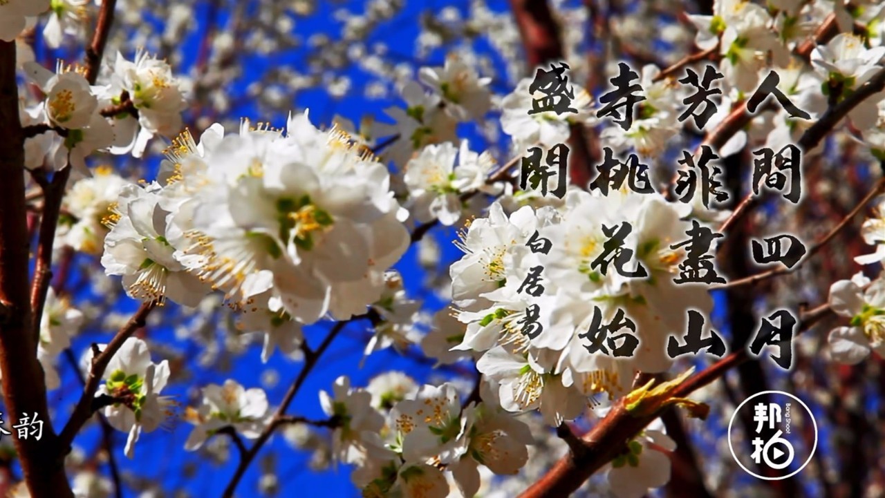 生活在仙境般的“花花世界”，這800萬人卻視而不見！