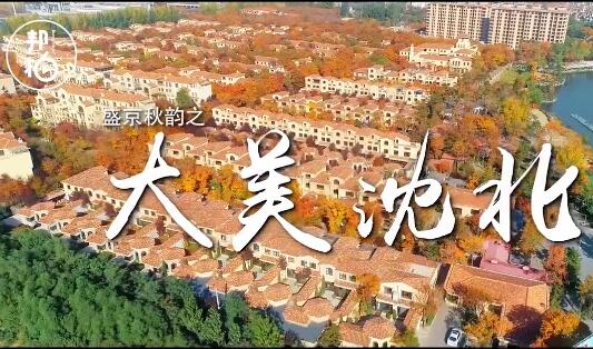 艷遇沈北之秋，無(wú)風(fēng)自撩人
