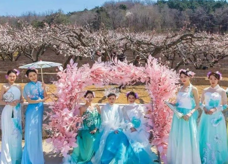 快去看杏花吧！渾南區(qū)首屆杏花節(jié)暨四季游活動震撼開幕！