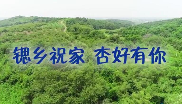 來(lái)呀 來(lái)呀 來(lái)呀丨祝家“鍶”杏真的甜 ，這個(gè)周末組團(tuán)來(lái)摘呀