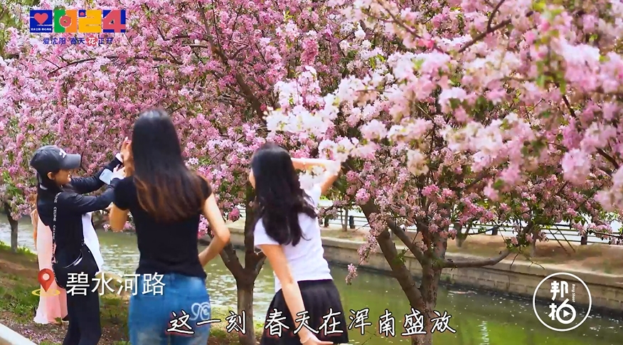 行走在春天的詩歌里~