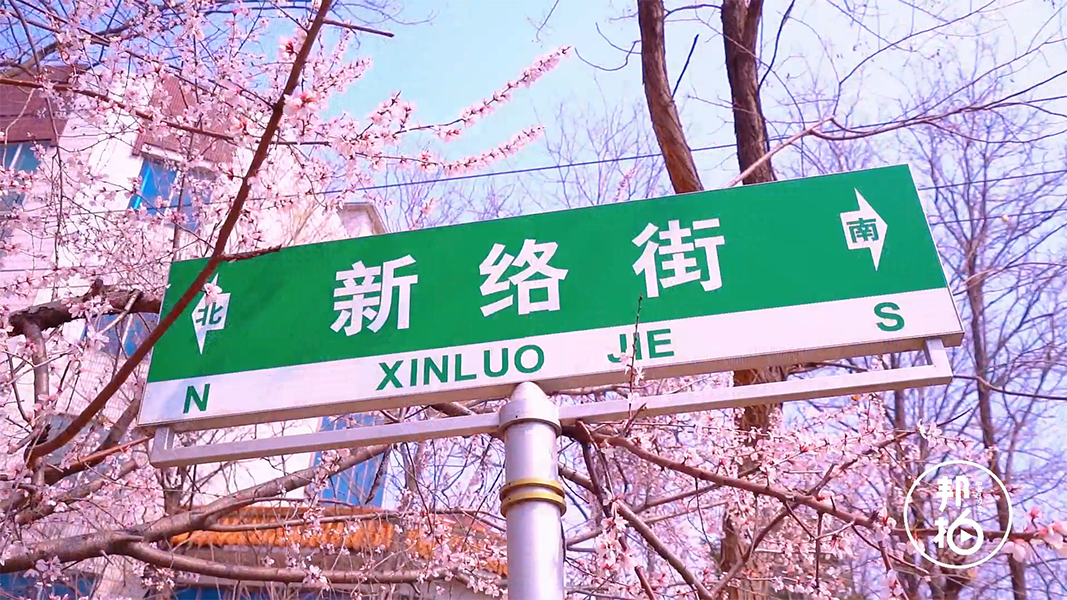 航拍渾南區(qū)新絡(luò)街桃花