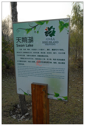 single-image